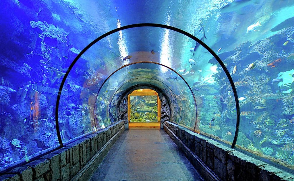 mandalay bay aquarium las vegas attractions for families